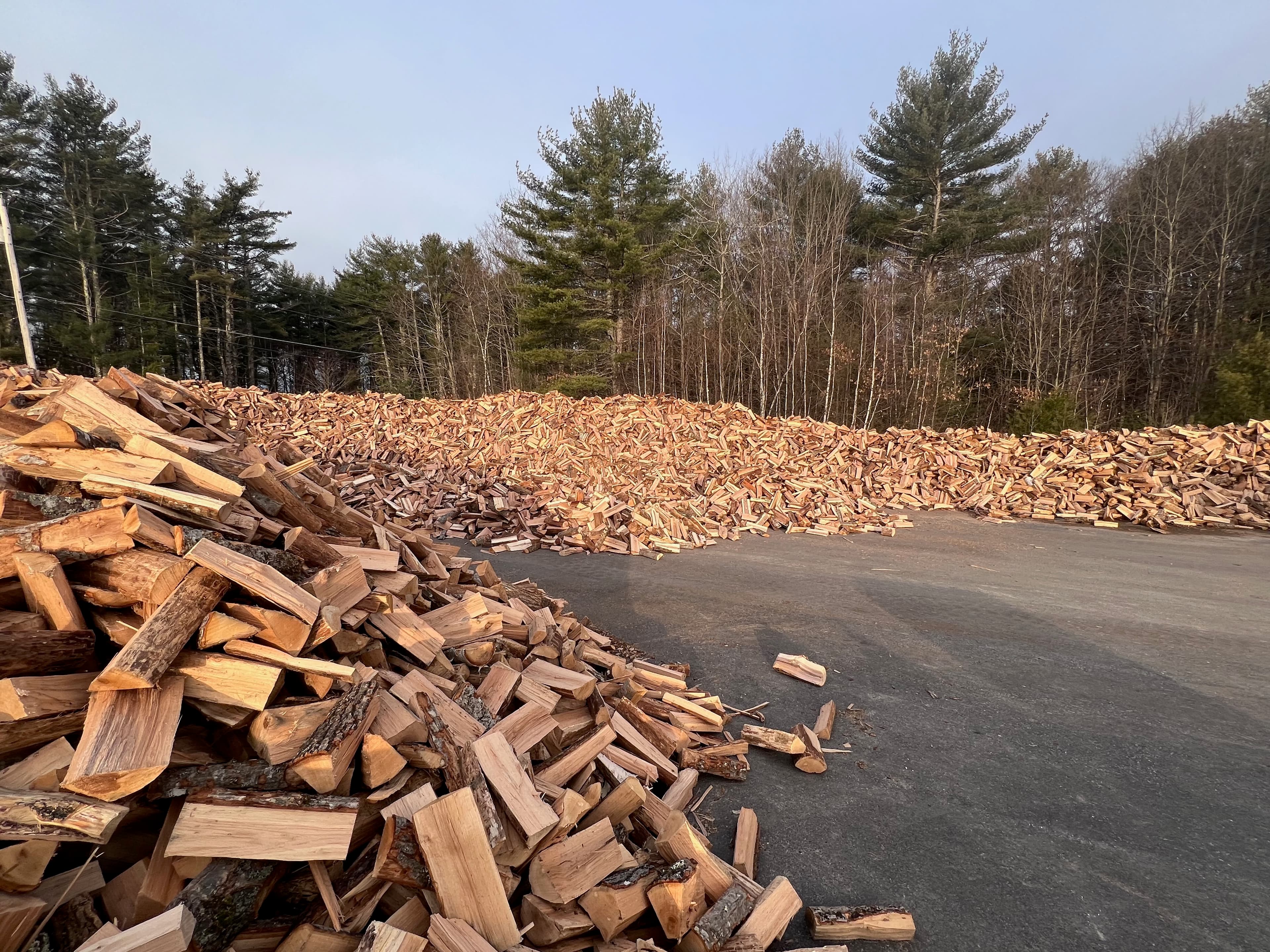 Piles of Split Firewood